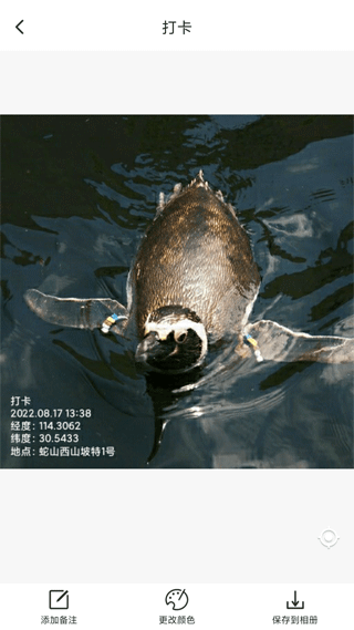 打卡定位软件图1