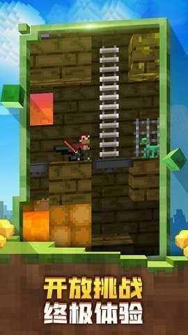 迷失的矿工双人联机版图1