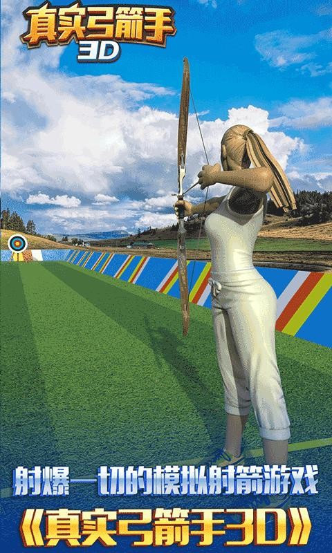 真实弓箭手3D官方版图5