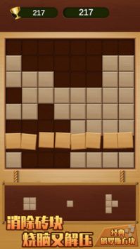 经典俄罗斯方块图4