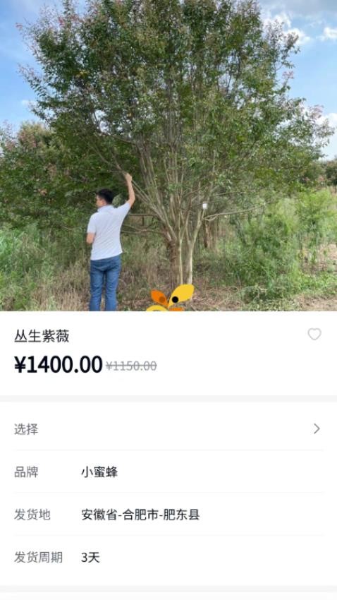 小蜜蜂园林最新版图3