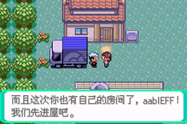 口袋妖怪极夜永昼内置修改器版图3