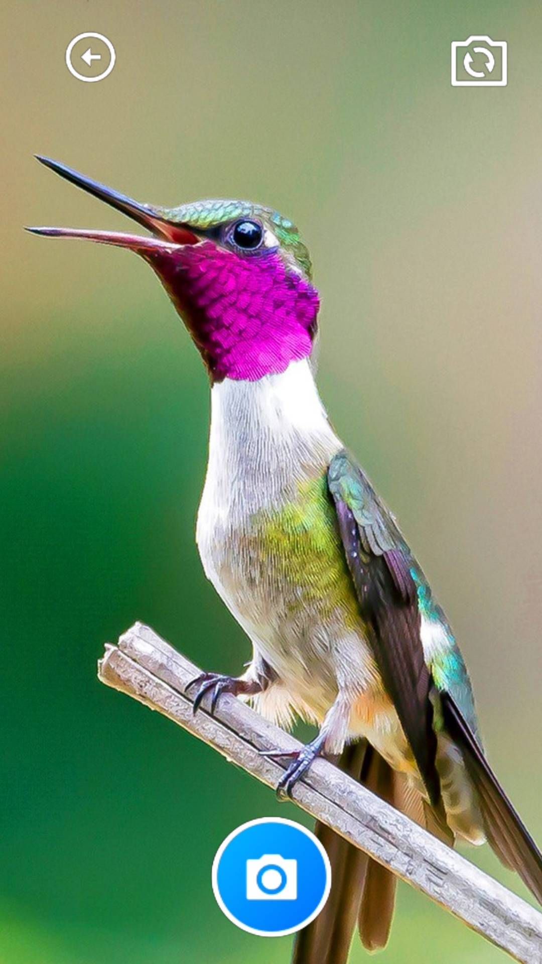 龙凤工具箱软件安装手机版图3