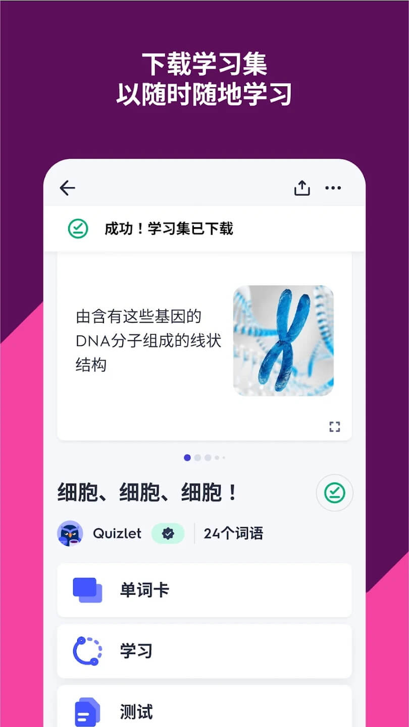 quizlet最新版图1
