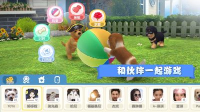 梦幻小狗安卓图2