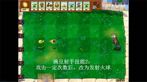 植物大战僵尸坑版