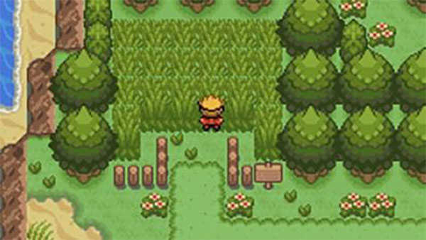 口袋妖怪釉色汉化版图1