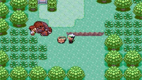 口袋妖怪噩梦的前夕汉化版图3