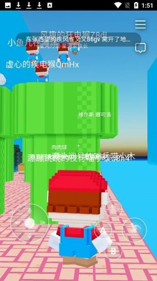 3D马里奥手机版图2