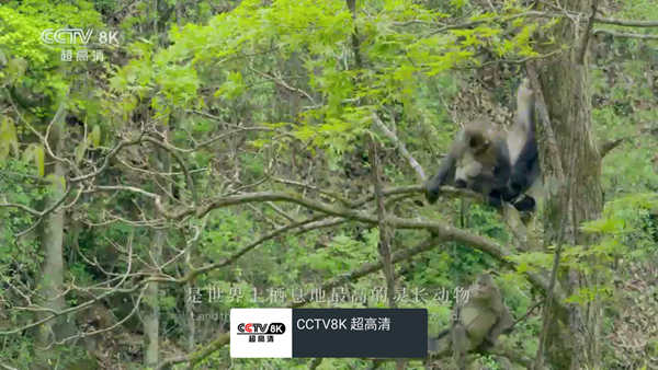 我的电视最新版本图2